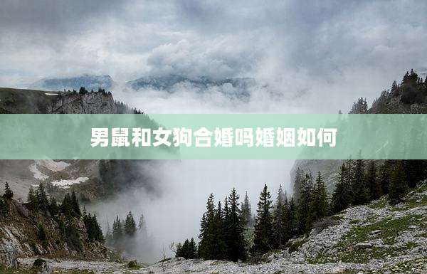 男鼠和女狗合婚吗婚姻如何