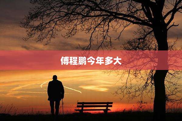傅程鹏今年多大