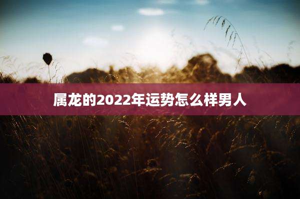 属龙的2022年运势怎么样男人