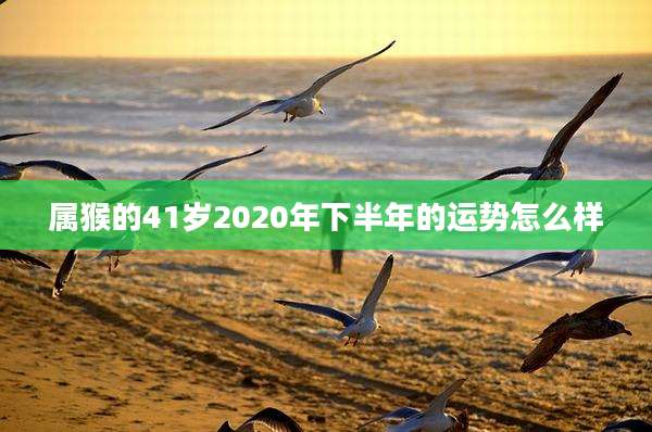 属猴的41岁2020年下半年的运势怎么样