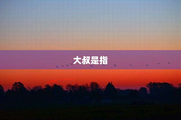 大叔是指