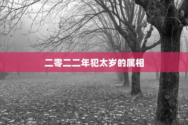 二零二二年犯太岁的属相