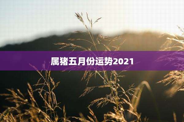 属猪五月份运势2021