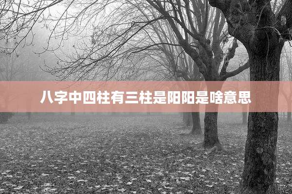 八字中四柱有三柱是阳阳是啥意思