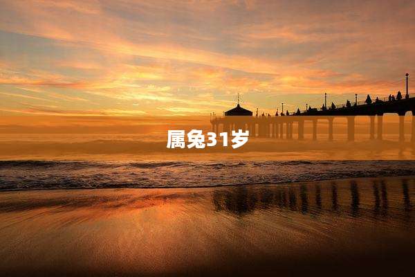 属兔31岁