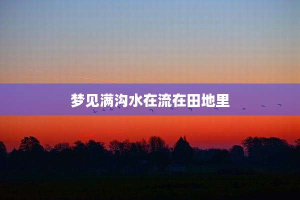 梦见满沟水在流在田地里