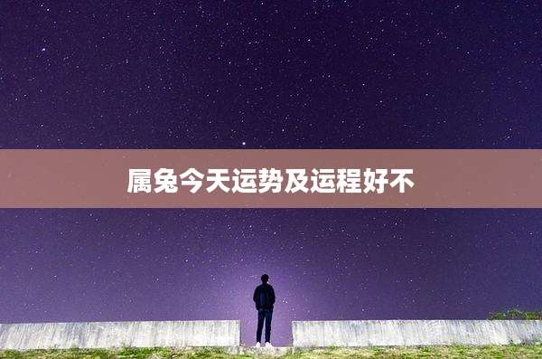 属兔今天运势及运程好不