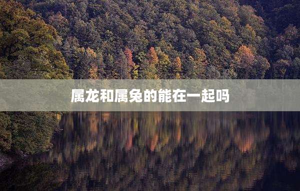 属龙和属兔的能在一起吗