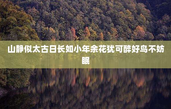 山静似太古日长如小年余花犹可醉好鸟不妨眠