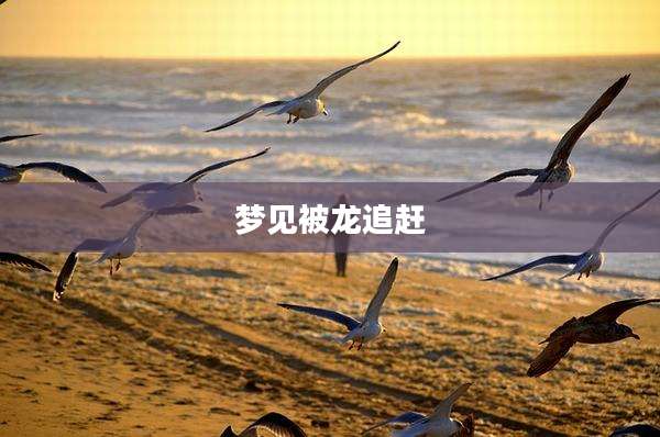 梦见被龙追赶