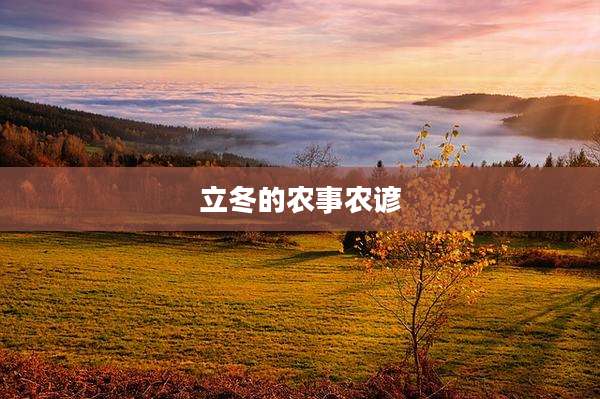 立冬的农事农谚