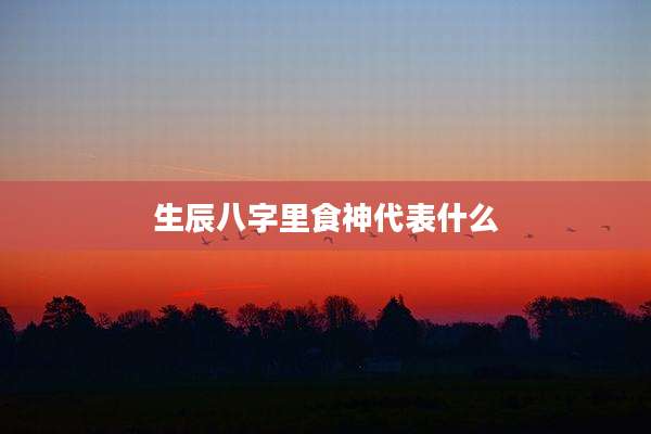 生辰八字里食神代表什么