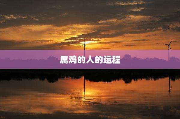 属鸡的人的运程
