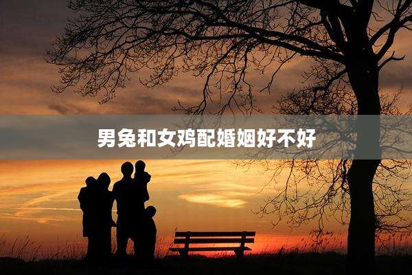 男兔和女鸡配婚姻好不好