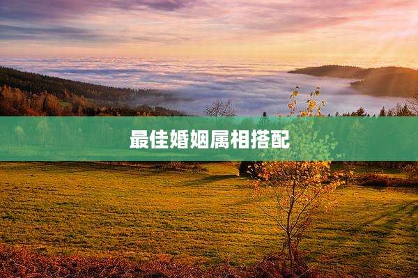 最佳婚姻属相搭配