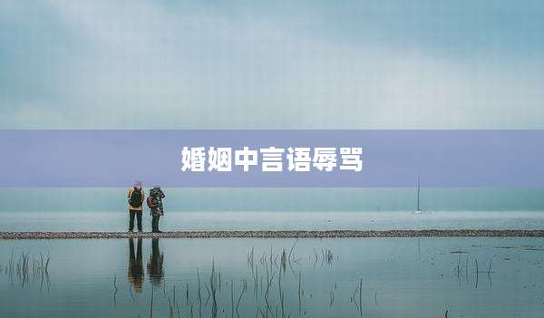 婚姻中言语辱骂