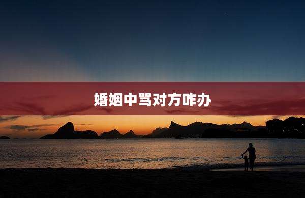 婚姻中骂对方咋办