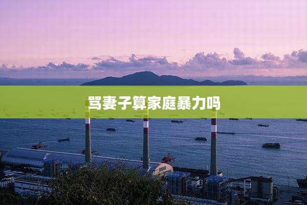 骂妻子算家庭暴力吗