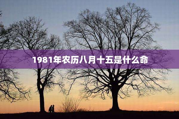 1981年农历八月十五是什么命