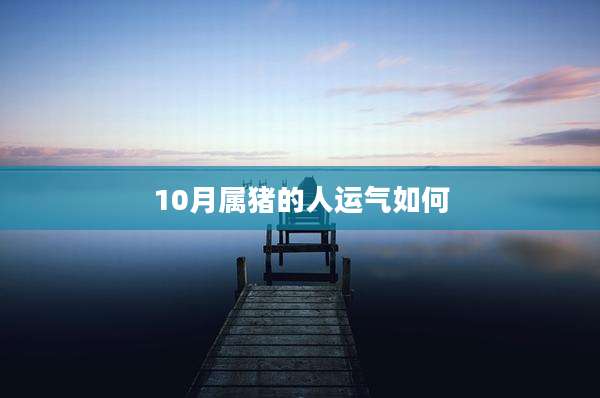 10月属猪的人运气如何
