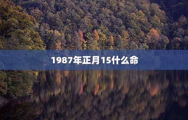 1987年正月15什么命