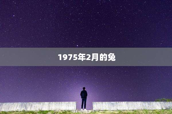 1975年2月的兔