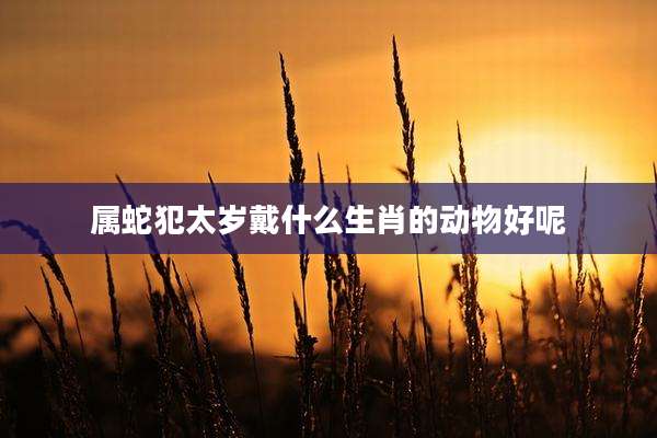 属蛇犯太岁戴什么生肖的动物好呢