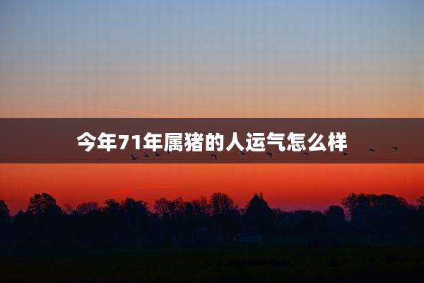 今年71年属猪的人运气怎么样