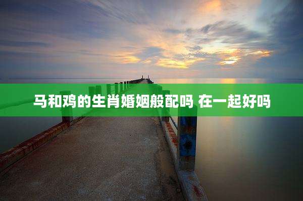 马和鸡的生肖婚姻般配吗 在一起好吗