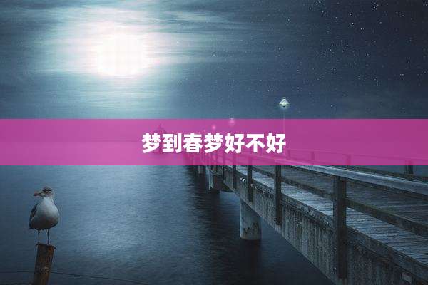 梦到春梦好不好