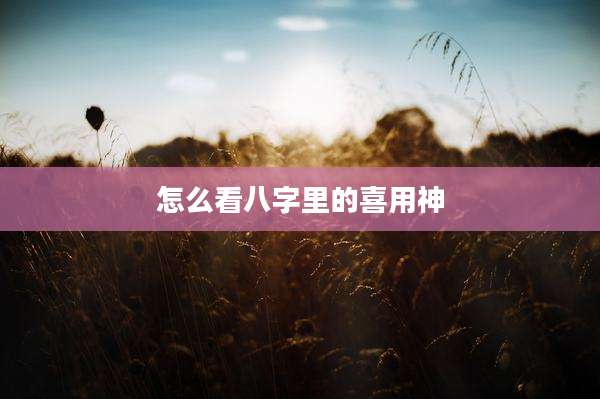 怎么看八字里的喜用神