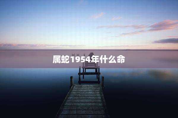 属蛇1954年什么命