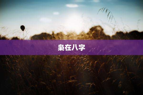 枭在八字