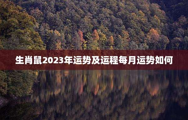 生肖鼠2023年运势及运程每月运势如何