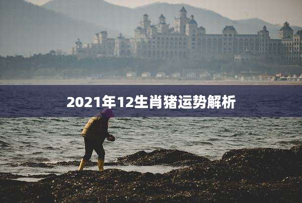 2021年12生肖猪运势解析