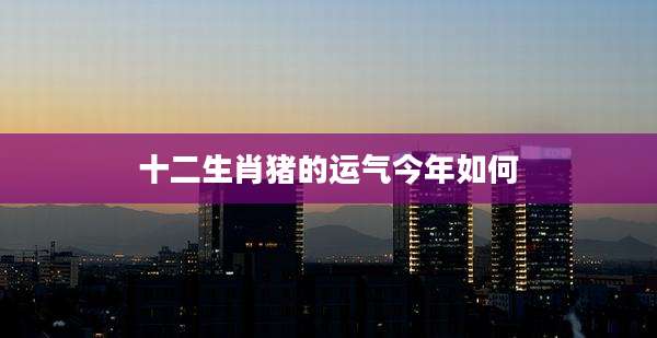十二生肖猪的运气今年如何