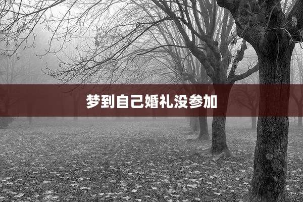 梦到自己婚礼没参加