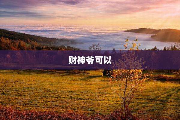 财神爷可以