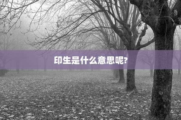印生是什么意思呢?