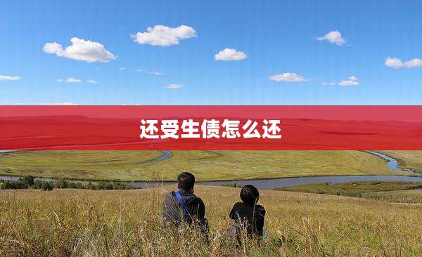 还受生债怎么还