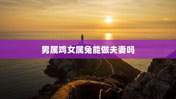 男属鸡女属兔能做夫妻吗