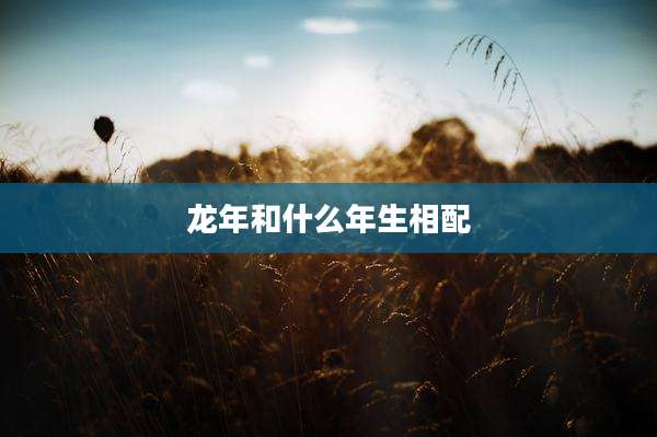 龙年和什么年生相配