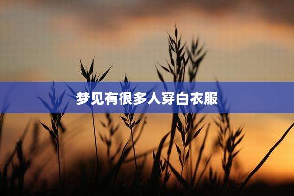 梦见有很多人穿白衣服