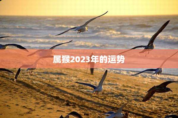 属猴2023年的运势