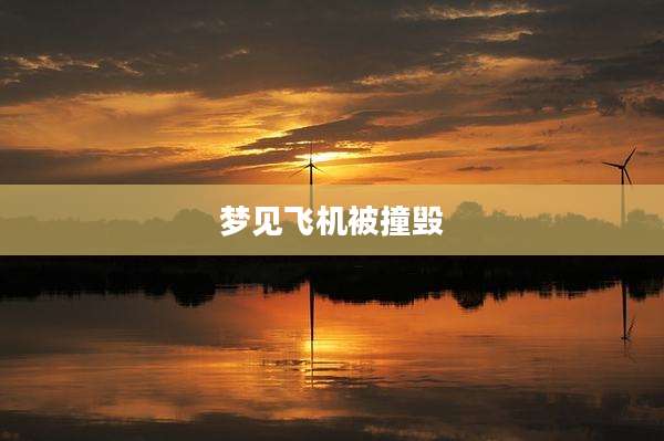 梦见飞机被撞毁