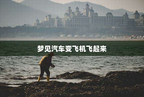 梦见汽车变飞机飞起来