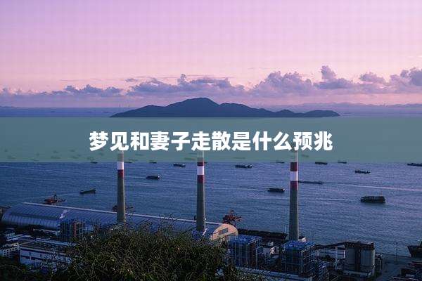 梦见和妻子走散是什么预兆