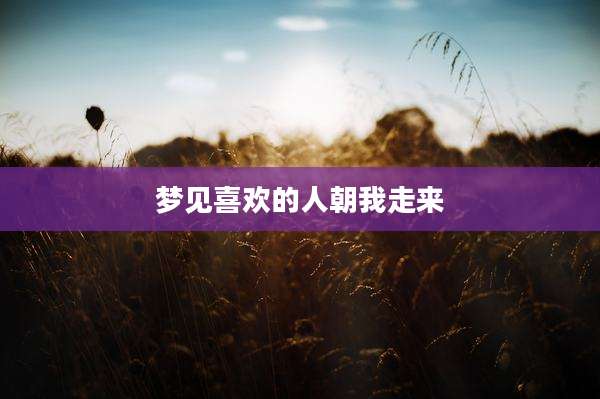 梦见喜欢的人朝我走来