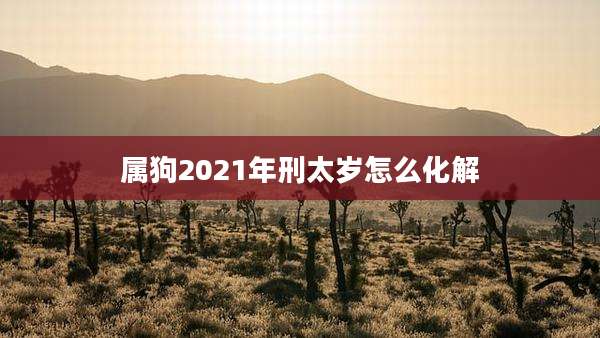 属狗2021年刑太岁怎么化解