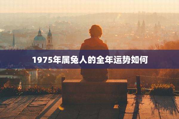 1975年属兔人的全年运势如何